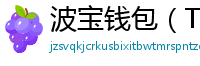 波宝钱包（TronLink）下载